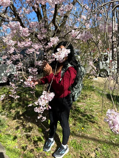 Girl hiding behind the cherry blossom branches