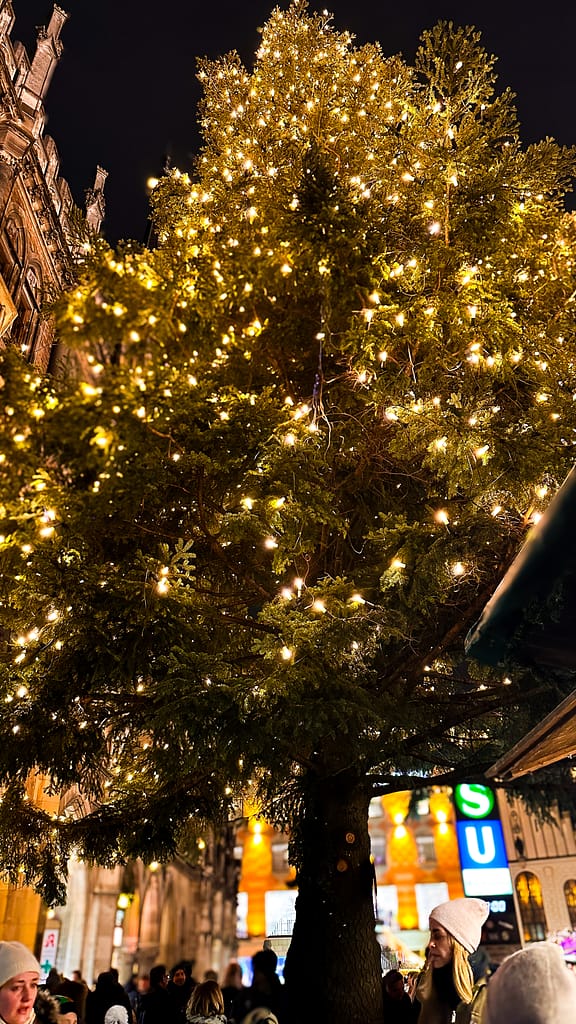 Marienplatz Christmas Market Christmas tree light up at night