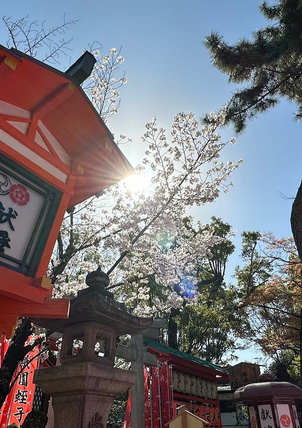 View of a shrine at Yasaka Shrine