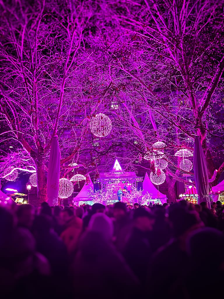 Picture of the trees and venue at Pink Christmas
